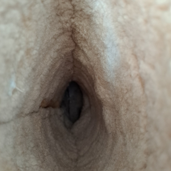 UGG Australia women's Keira tan suede shearling lining winter boots with fringe - Picture 16 of 16